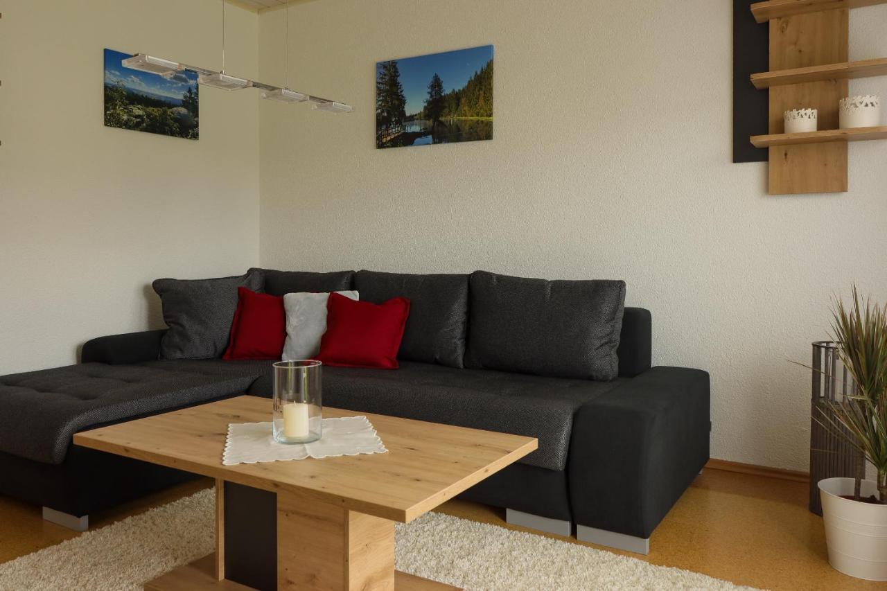 Buchen Blick - Ruhige Moderne Ferienwohnung 82Qm. Fichtelberg Εξωτερικό φωτογραφία