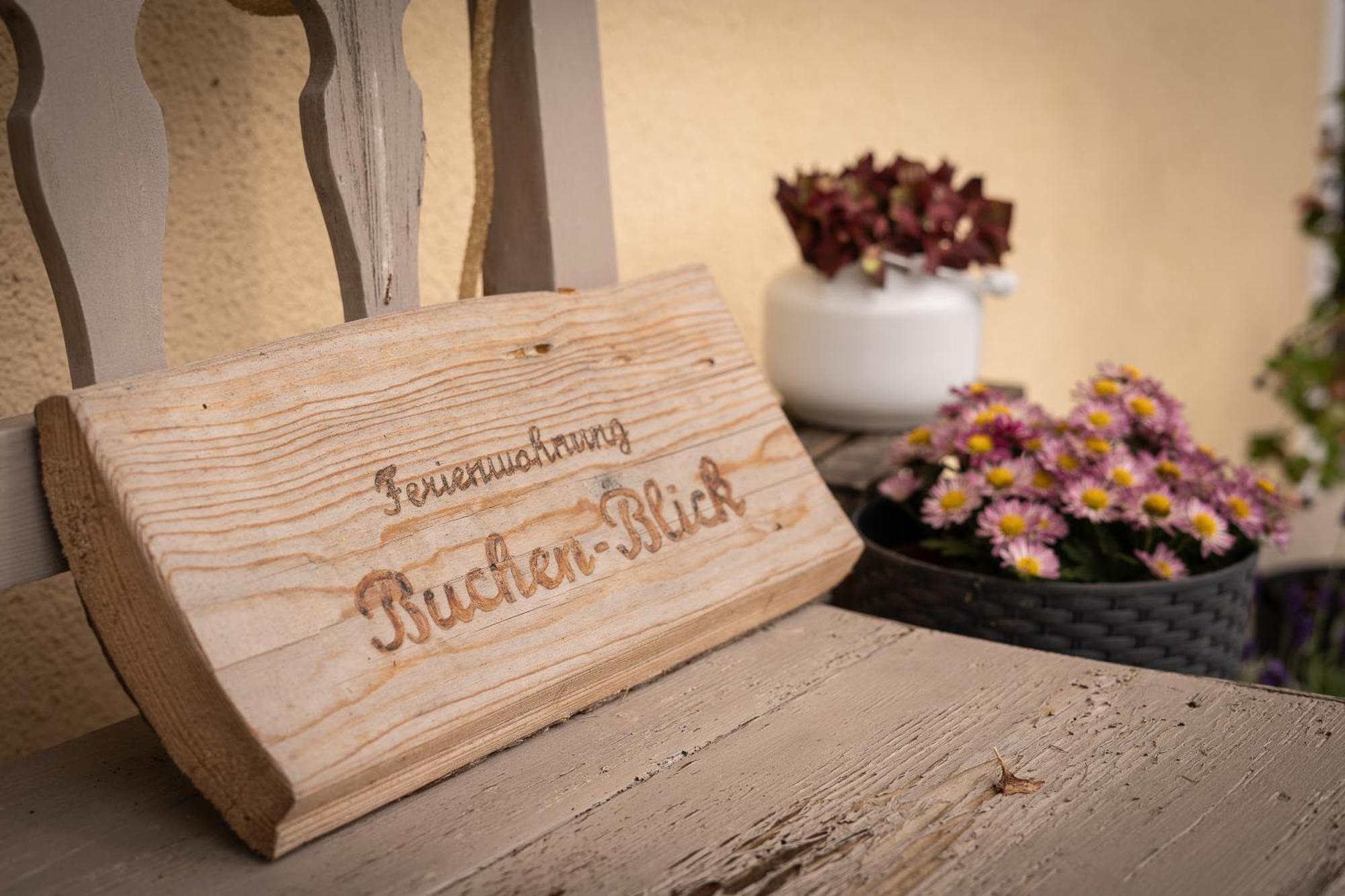 Buchen Blick - Ruhige Moderne Ferienwohnung 82Qm. Fichtelberg Εξωτερικό φωτογραφία